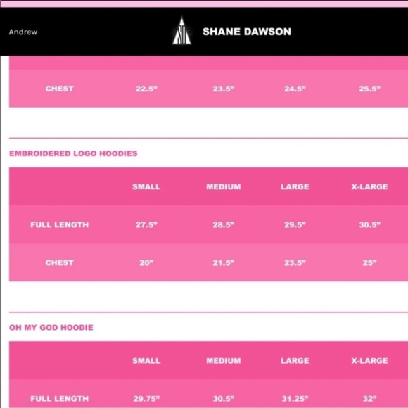 Embroidered Logo Hoodie EmeraldShane Dawson NEW - Picture 6 of 6